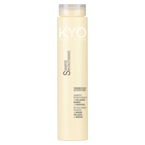 KYO Restruct System Shampoo 250 ml