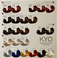 KYO Farbkarte