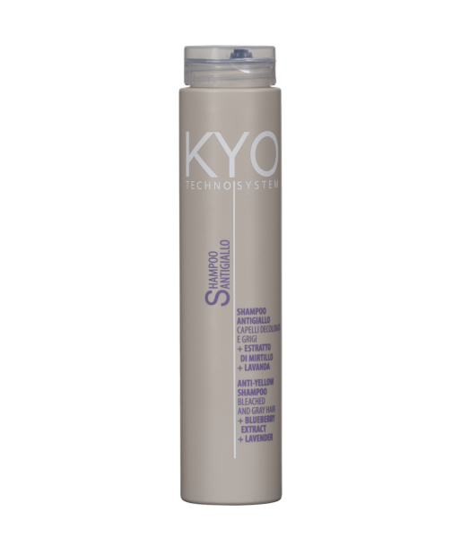 KYO Techno System Anti Gelbeffekt Silber Shampoo 250 ml